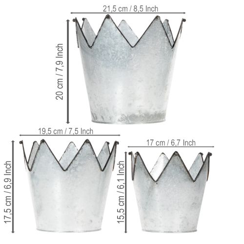 Product Planter crown metal decorative zinc Ø21.5/19.5/17cm set of 3