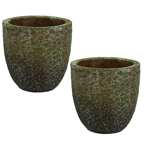 Floristik24 Masonry Gray, Green Ø14cm H14cm 2pcs