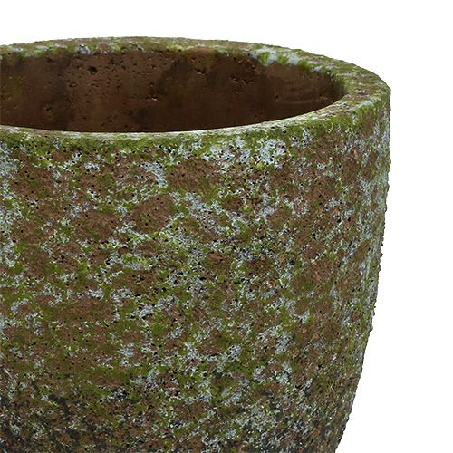Floristik24 Masonry Gray, Green Ø14cm H14cm 2pcs