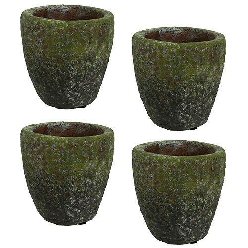 Floristik24 Planter with moss Ø10cm H10.5cm 4pcs