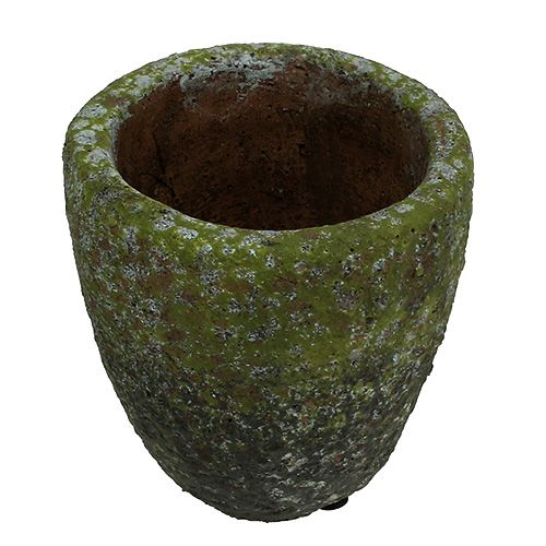 Floristik24 Planter with moss Ø10cm H10.5cm 4pcs