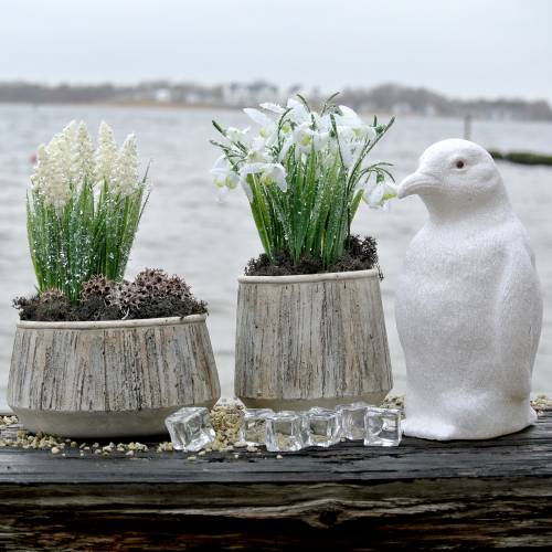 Floristik24 Planter vase concrete wood design Ø15cm
