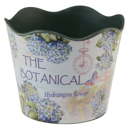 Product Planter plastic flower pot summer hydrangeas Ø16.5cm H13.5cm