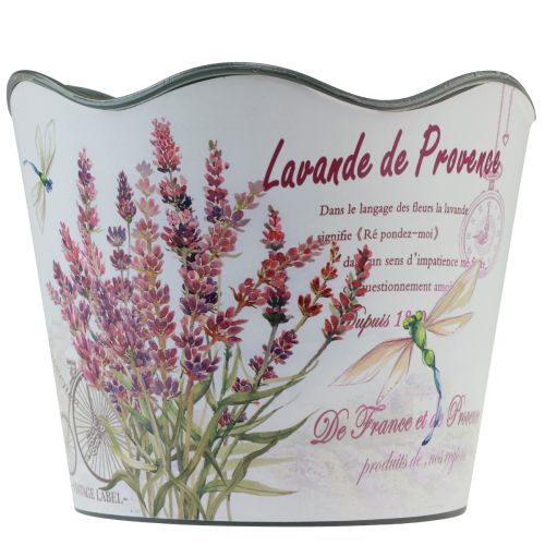 Floristik24 Planter plastic flower pot summer lavender Ø16.5cm H13.5cm