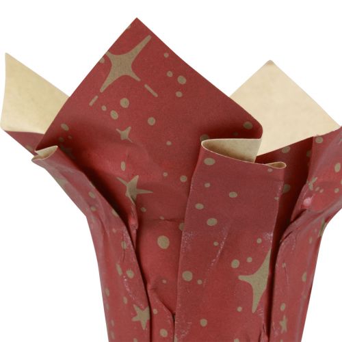 Product Planter paper stars red/anthracite/natural Ø4.5cm H6cm 9 pieces
