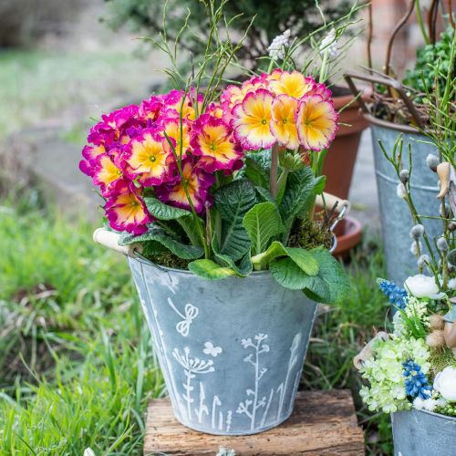 Floristik24 Planter planter vintage decorative metal bucket Ø18cm H17.5cm