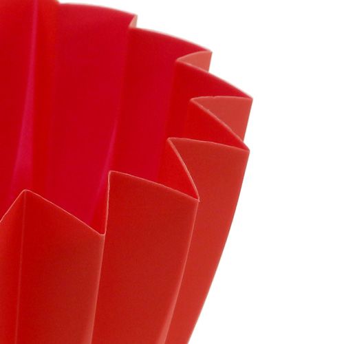 Floristik24 Repot Adonis Red 11cm 20 pcs