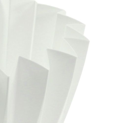 Floristik24 Repot Adonis white 14cm 20 pcs