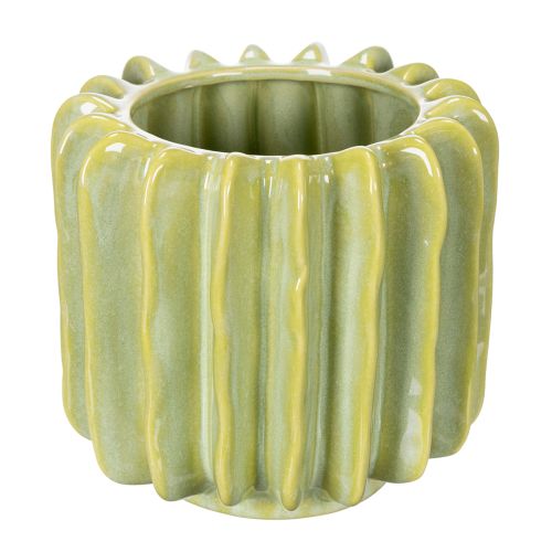 Cactus flower pot, ideal bowl for exotic home accents, 16cm