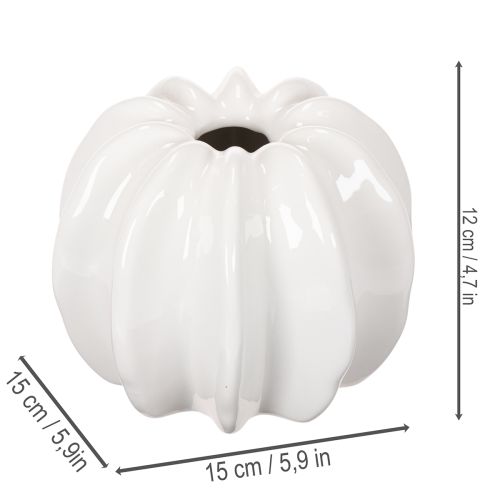 ProductName  
White Ceramic Pumpkin-Shaped Vase – 15cm for Home Decoration  

/ProductName  

ProductDescription  
<div>  
<h2>White Ceramic Pumpkin Vase for Stylish Home Décor</h2>  
<p>Bring a touch of seasonal charm to your home with this white ceramic | Floristik24.co.uk