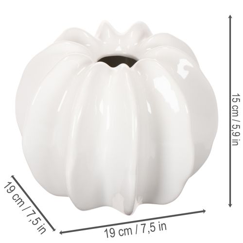 Shiny White Pumpkin-Shaped Decorative Vase for Autumn, 19cm | Floristik24.co.uk