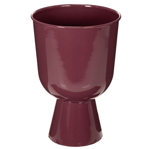 Floristik24 Flower pot, cup-shaped, modern style, decorative for any home and office, 23cm