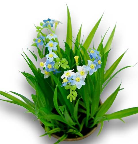 Floristik24 Forget-me-not with grass and bowl 18cm