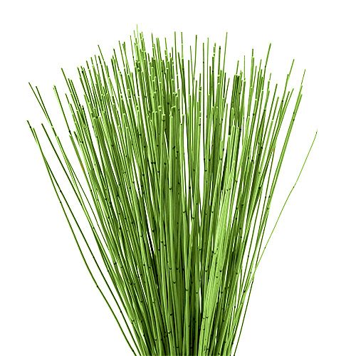 Floristik24 Vlei Reed 400g light green