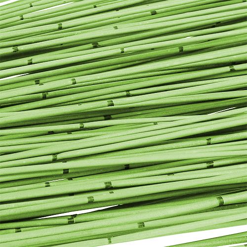 Product Vlei Reed 400g light green