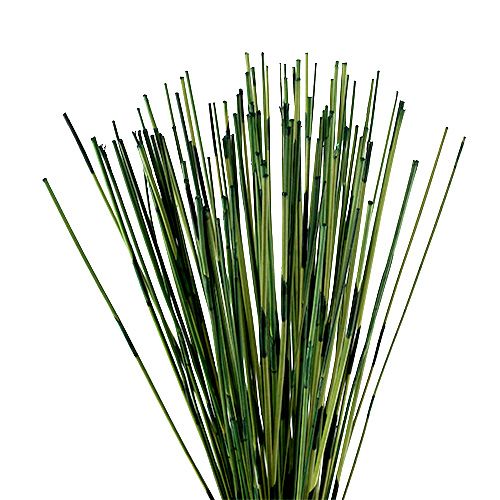 Floristik24 Vlei Reed 400g Darkgreen