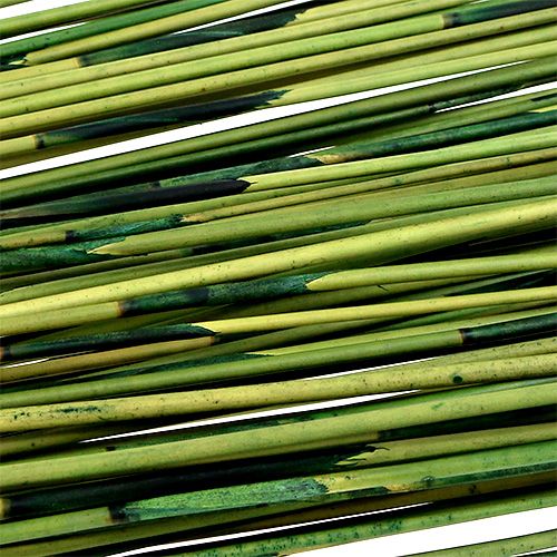 Floristik24 Vlei Reed 400g Darkgreen