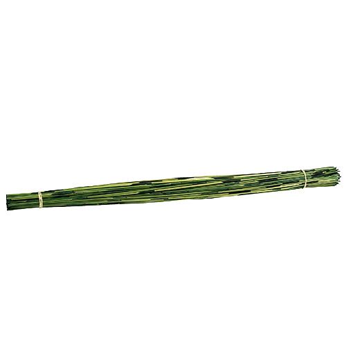 Floristik24 Vlei Reed 400g Darkgreen