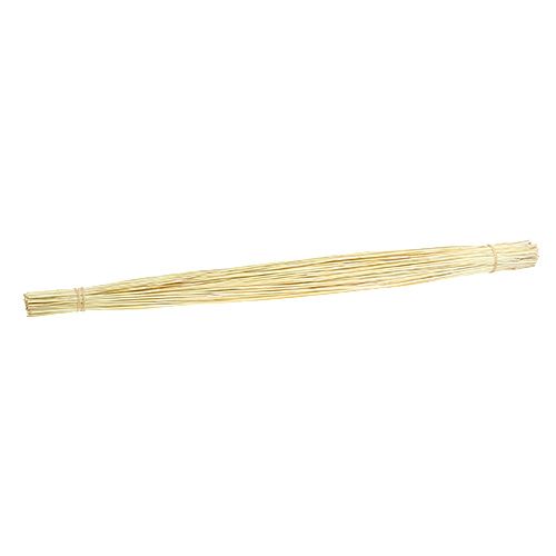 Floristik24 Vlei Reed 400g bleached