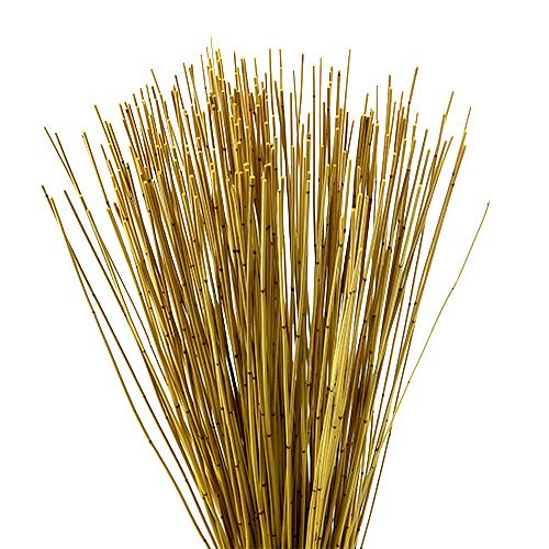 Floristik24 Vlei Reed 400g yellow