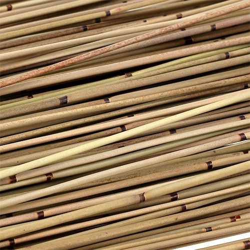 Product Vlei Reed 400g natural
