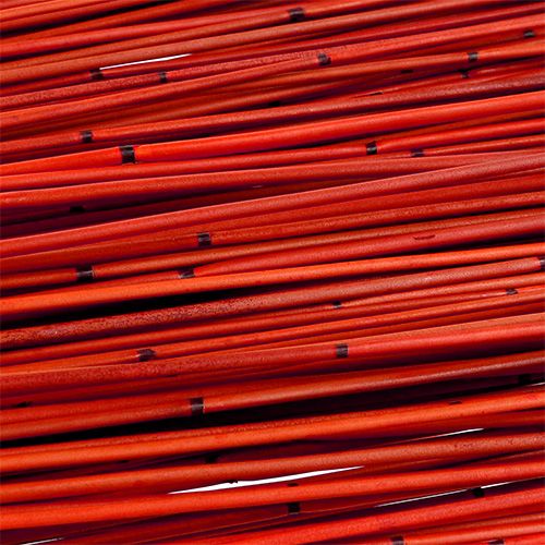 Product Vlei Reed 400g Red
