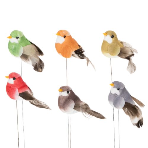 Floristik24 Decorative birds, artificial home decor, spring occasion, with colorful plumage, made of plastic, 5cm, 18 pieces