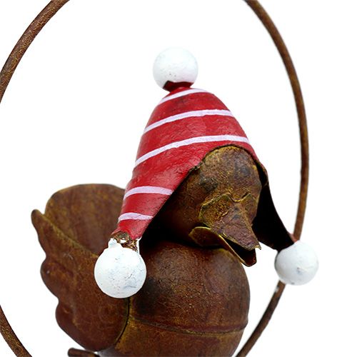 Product Bird in ring as feeding hanger Ø12.5cm L45cm 2pcs