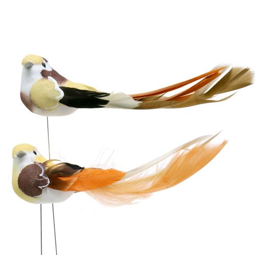 Floristik24 Bird on the wire Brown / Orange 14cm 12pcs