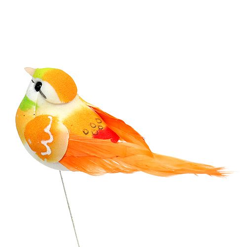 Floristik24 Bird 8cm assorted colors. 12st