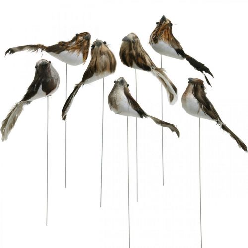 Floristik24 Spring, bird on wire, flower decoration white, natural colors H4.5cm 12pcs