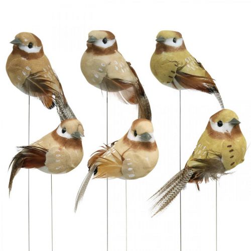 Floristik24 Spring, bird on wire, deco birds natural colors H7.5cm 12pcs