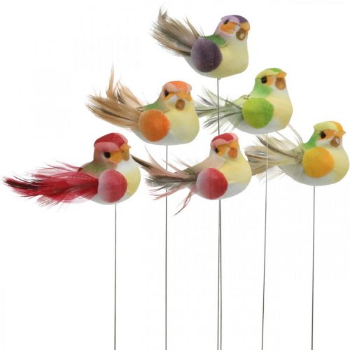 Floristik24 Spring, bird on wire, colorful flower plugs H2.5cm 24pcs