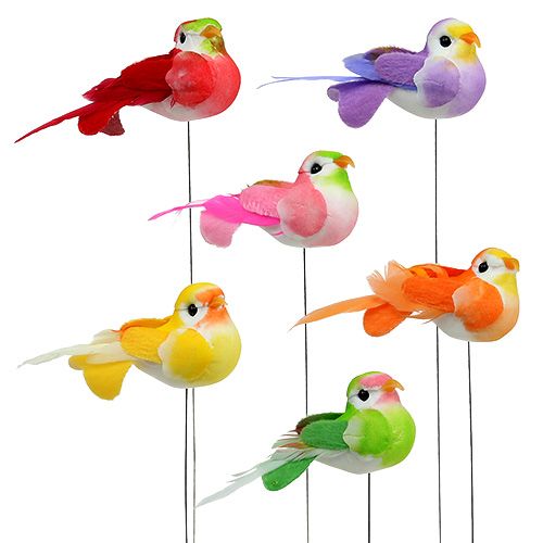 Floristik24 Bird on a wire sort of colorful 7cm 12pcs