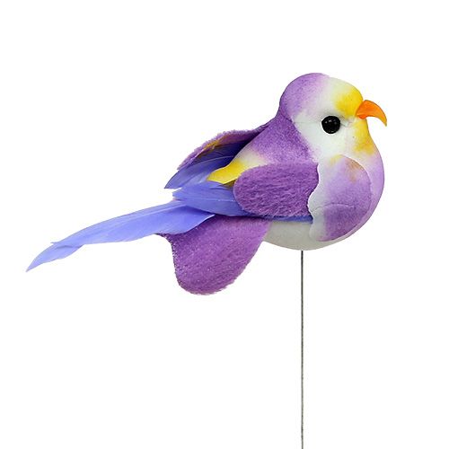 Floristik24 Bird on a wire sort of colorful 7cm 12pcs