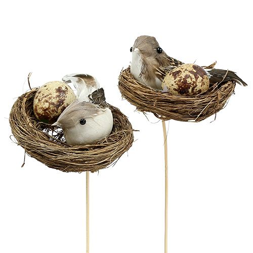 Floristik24 Bird&#39;s nest on a stick Ø7cm L24cm 6pcs