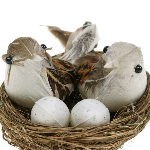 Floristik24 Bird&#39;s nest with eggs and bird 6pcs