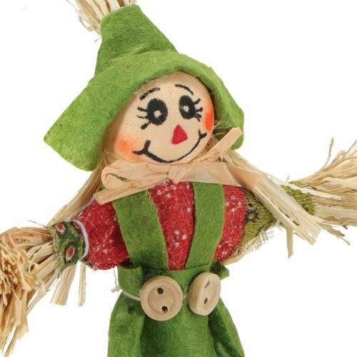 Product Scarecrow flower stakes green orange H16cm 16 pcs