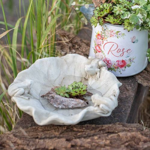 Product Bird bath with frogs, concrete garden figure, bird bath lotus leaf W21cm H7cm