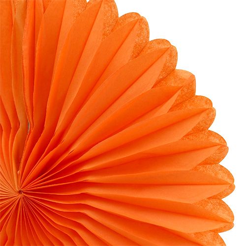 Floristik24 Honeycomb Paper Flower Orange Ø20cm 3pcs