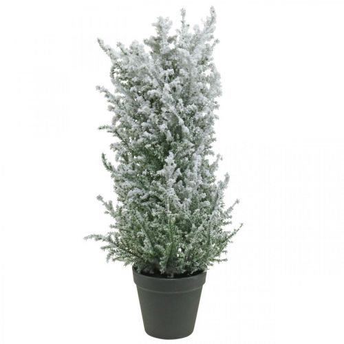 Floristik24 Artificial juniper in a pot snowed artificial plant H47cm