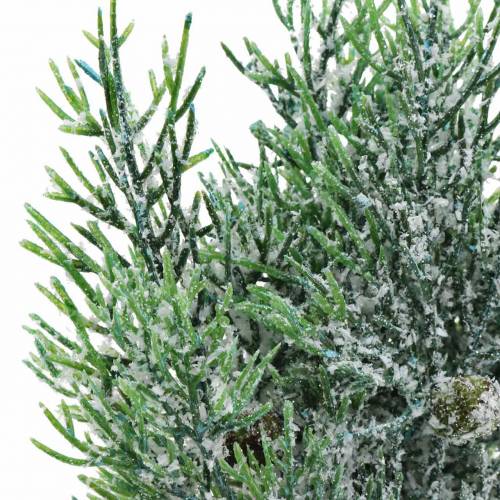 Floristik24 Decorative branch juniper with cones green-iced, blue washed 25cm 2 pcs.