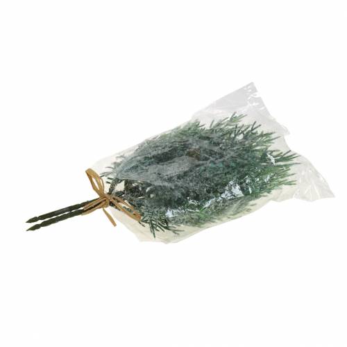 Floristik24 Decorative branch juniper with cones green-iced, blue washed 25cm 2 pcs.