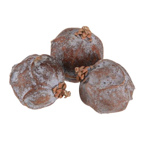 Floristik24 Juniper cones Syrian juniper natural Ø1.5–2.5cm 1kg