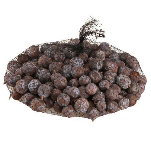 Floristik24 Juniper cones Syrian juniper natural Ø1.5–2.5cm 1kg