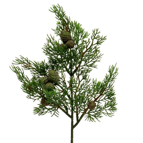 Floristik24 Juniper branch with cones green 39cm 3pcs