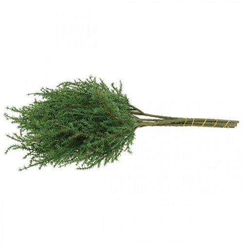 Floristik24 Juniper branch artificial green decorative branch Christmas 39cm 6pcs