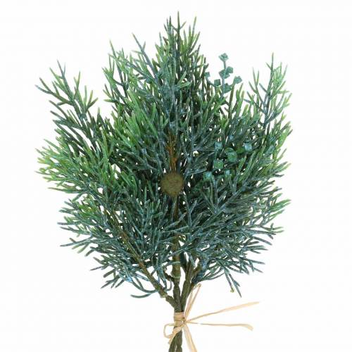 Floristik24 Decorative branch juniper with cones green, blue washed 25cm 2 pcs