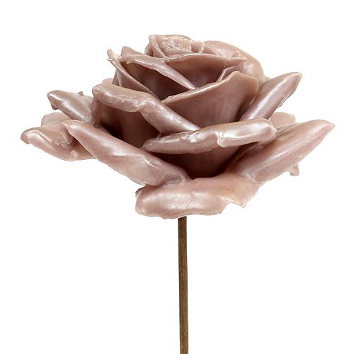 Product Wax rose champagne mix Ø10cm 6pcs