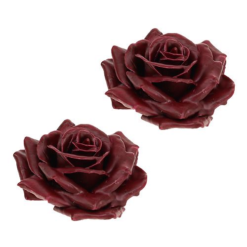 Floristik24 Wax rose dark red Ø10cm 6pcs